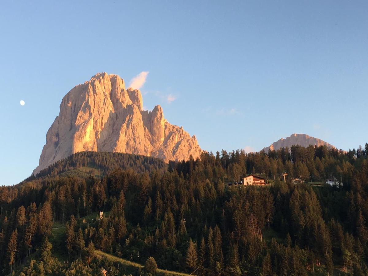 Apartments Mezdi Santa Cristina Val Gardena 外观 照片