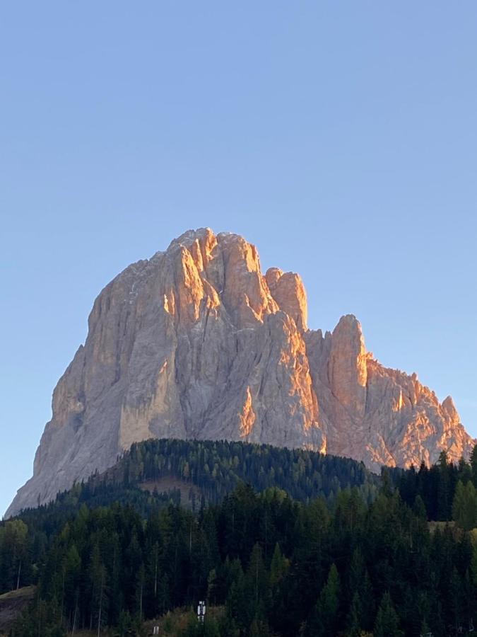Apartments Mezdi Santa Cristina Val Gardena 外观 照片